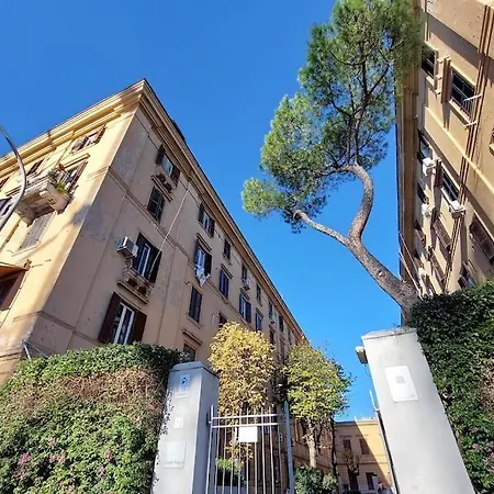 Gazometro Selfcheck-in *